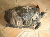 /album/galerie-de-photos-page-daccueil/g-jpg/