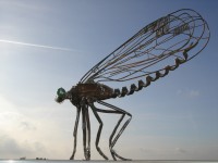 /album/galerie-de-photos-page-daccueil/i-jpg/