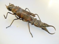 /album/galerie-de-photos-page-daccueil/k-jpg/