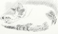 /album/galerie-de-photos-mes-dessins/a1-chat-jpg1/