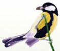 /album/galerie-de-photos-mes-dessins/a11-oiseau9-jpg1/
