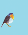 /album/galerie-de-photos-mes-dessins/a12-rg1pngbleu-png1/