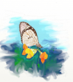/album/galerie-de-photos-mes-dessins/a16-pe-png1/
