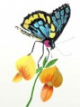 /album/galerie-de-photos-mes-dessins/a17-pf-jpg1/