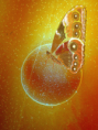 /album/galerie-de-photos-mes-dessins/a19-pb-png1/