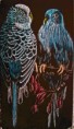 /album/galerie-de-photos-%3a-mes-dessins-sur-cartes-%c3%a0-gr%c3%a2ter/a-jpg2/