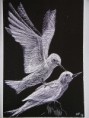 /album/galerie-de-photos-%3a-mes-dessins-sur-cartes-%c3%a0-gr%c3%a2ter/c-jpg1/