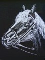 /album/galerie-de-photos-%3a-mes-dessins-sur-cartes-%c3%a0-gr%c3%a2ter/d-jpg1/