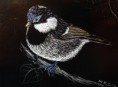 /album/galerie-de-photos-%3a-mes-dessins-sur-cartes-%c3%a0-gr%c3%a2ter/dsc01338-jpg/