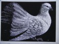 /album/galerie-de-photos-%3a-mes-dessins-sur-cartes-%c3%a0-gr%c3%a2ter/f-jpg1/